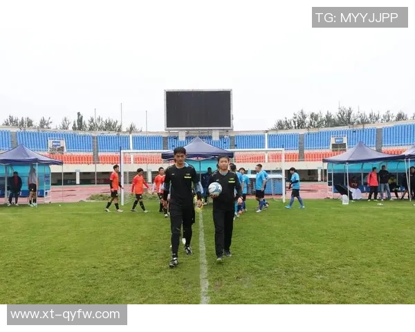 探索布肤足球的魅力与发展潜力助力全民健身新风潮